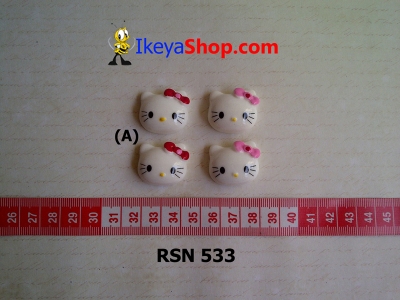 rsn 533  large2